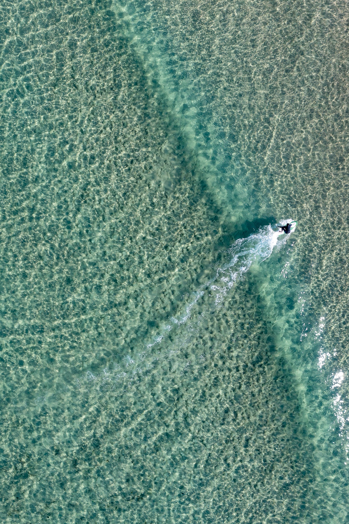 Bondi Solo Surfer wall art print featuring lone surfer in clear turquoise water