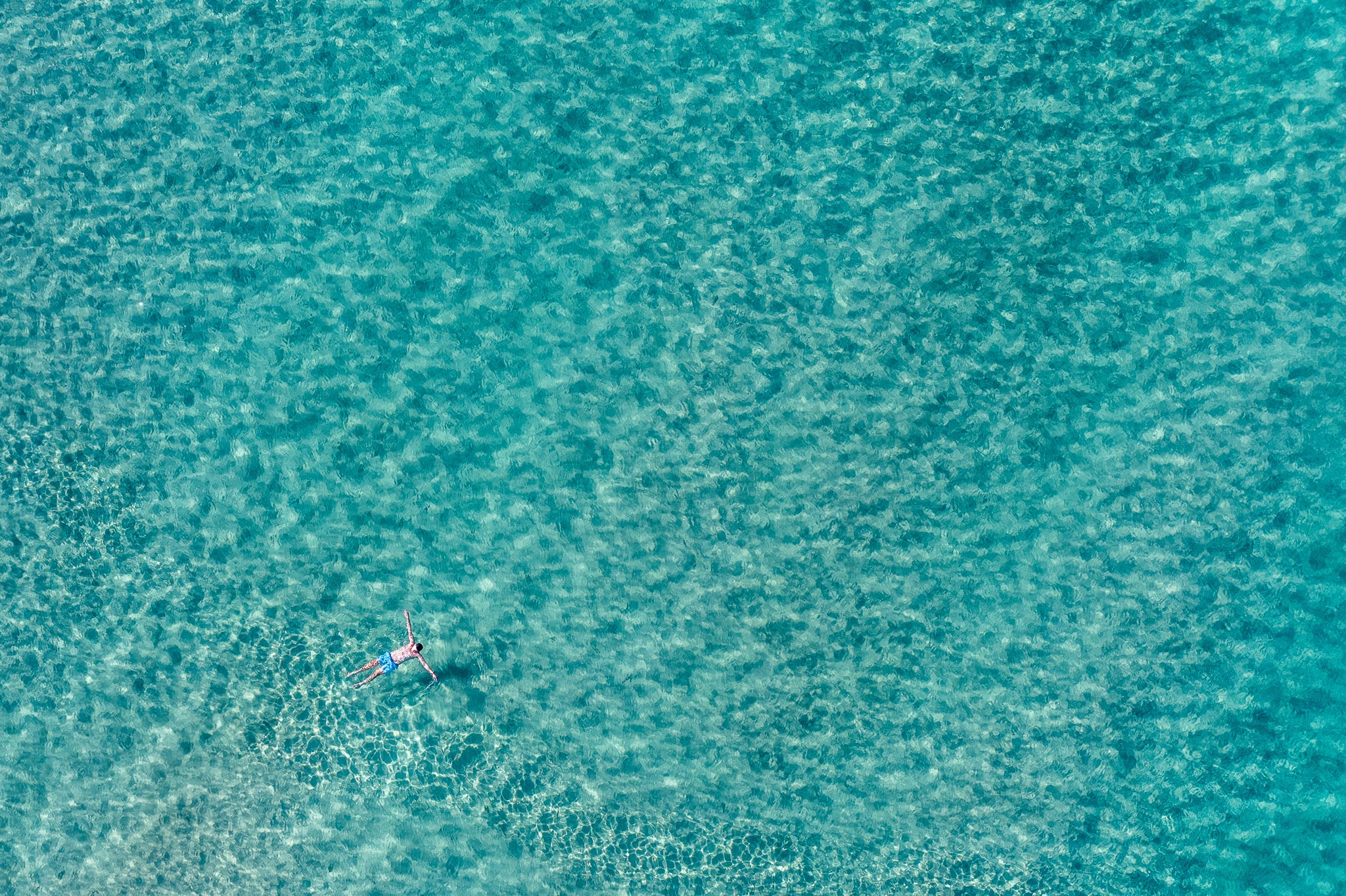 Solo swimmer Bondi Beach aerial wall art print