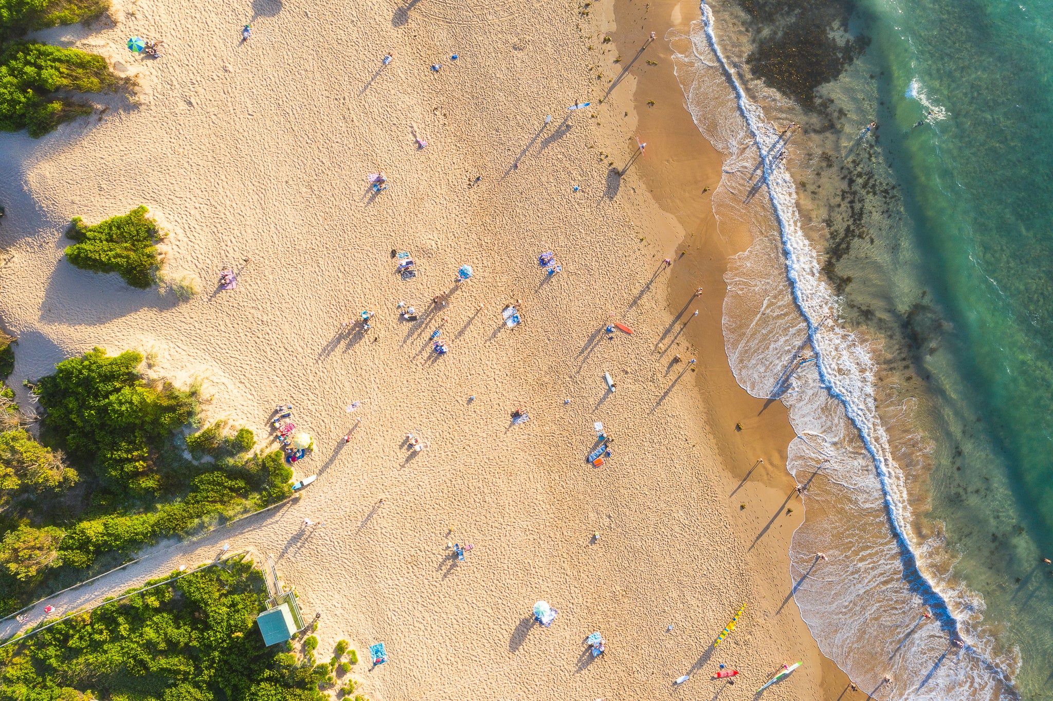Freshwater Beach aerial top down Sydney wall art