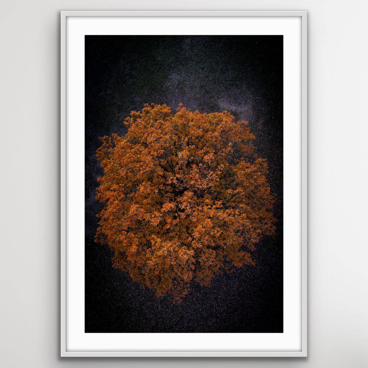 Aerial photograph of London leaves and cityscape wall art print