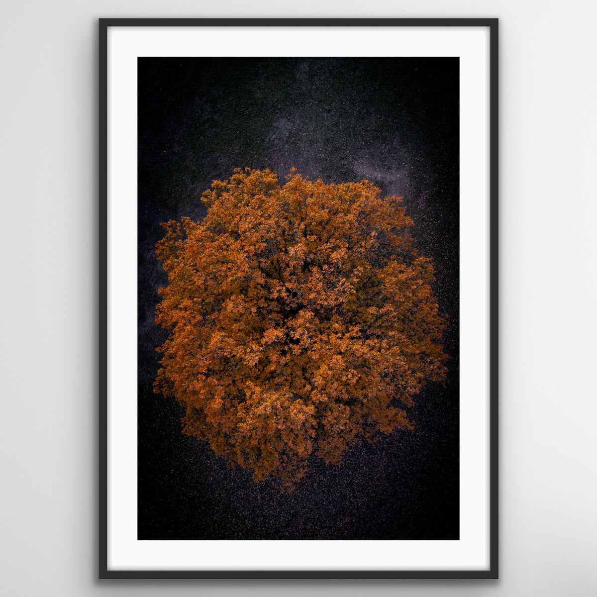 Drone aerial view of London Leaves fine art wall art photography print