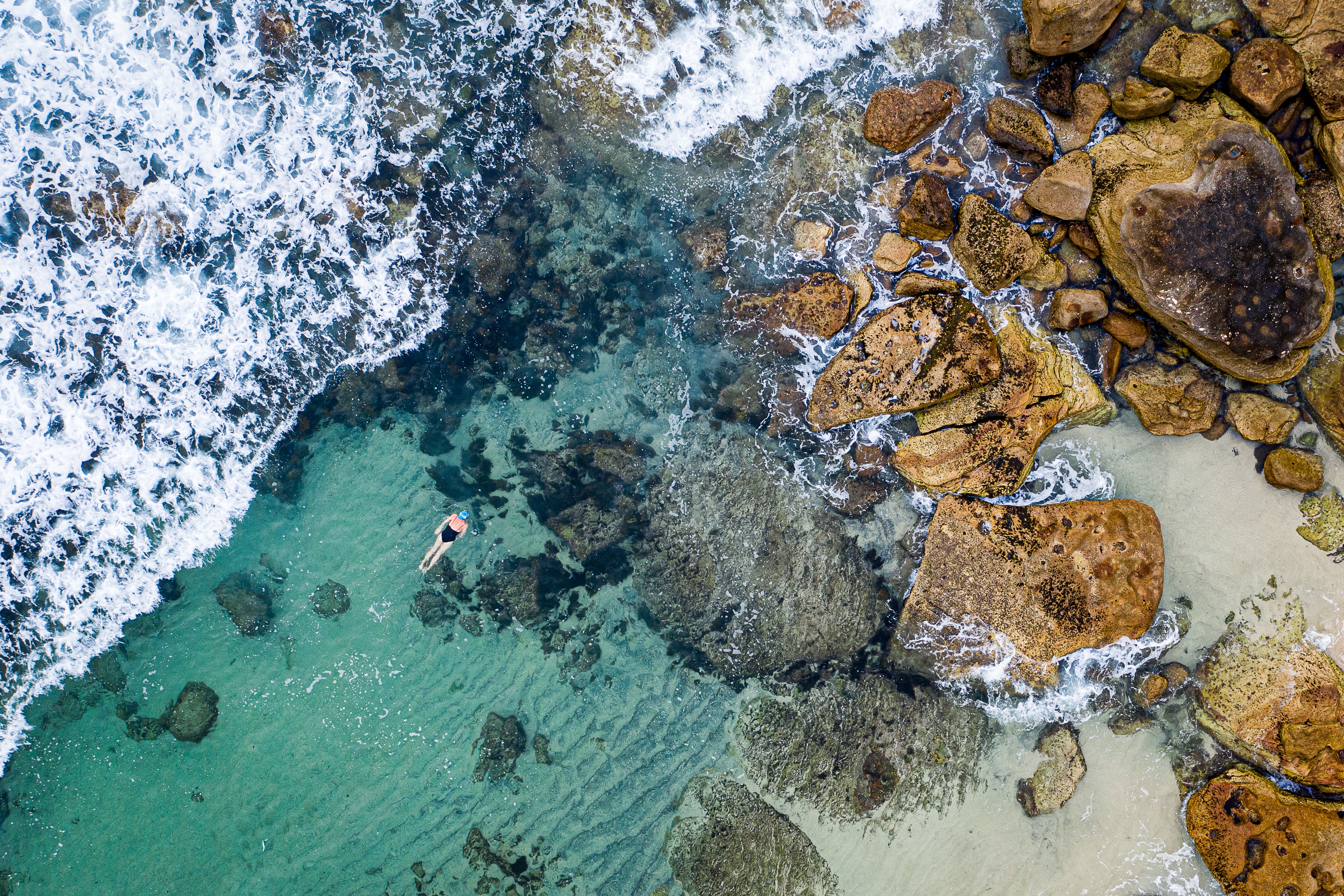 Solo Swimmer Bronte aerial photography wall art print