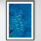 Bondi Beach ocean sports aerial photography print