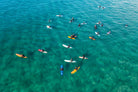 Bondi Beach surfers aerial photography print coastal wall art Sydney