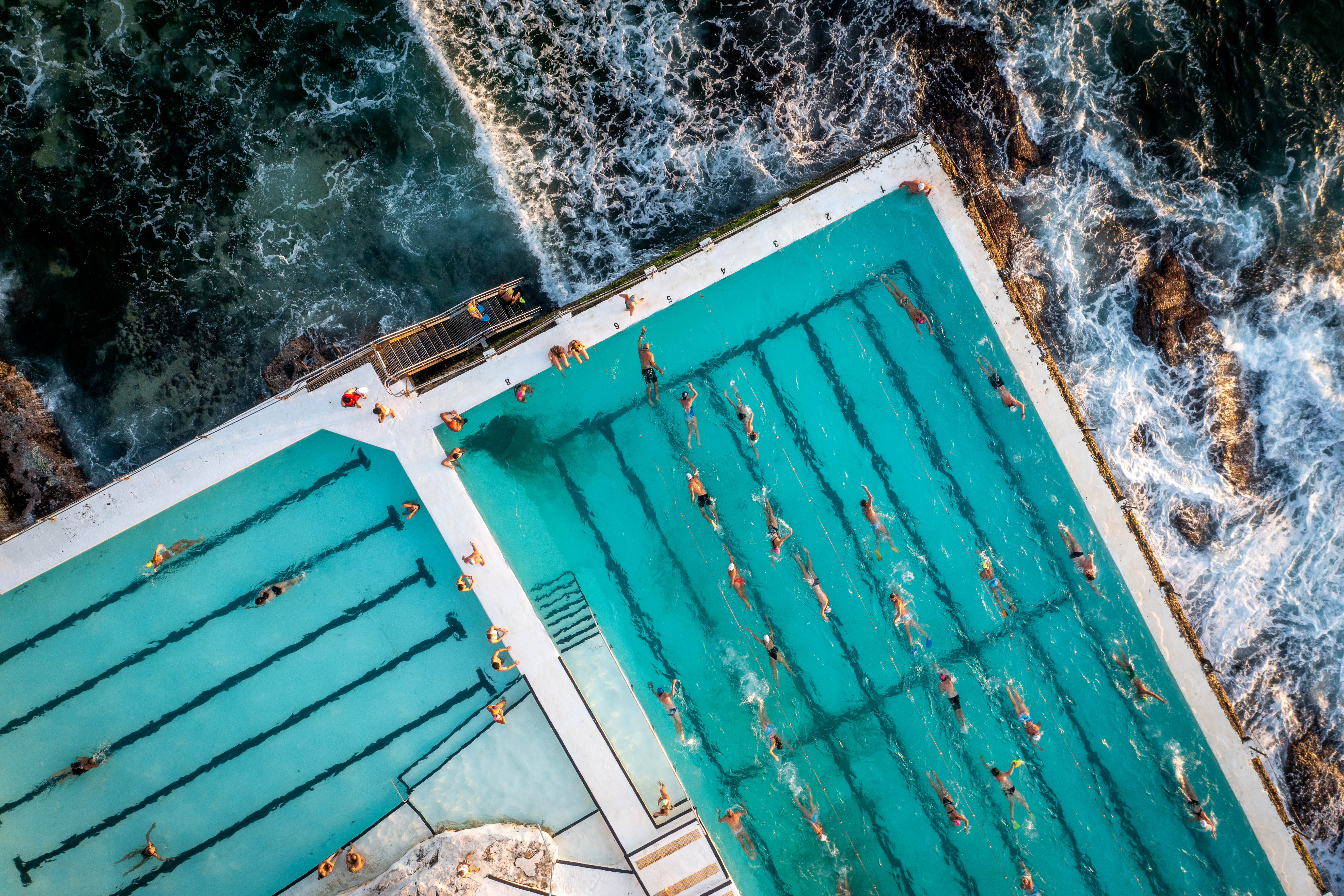 Swimmers at Icebergs Bondi aerial wall art print