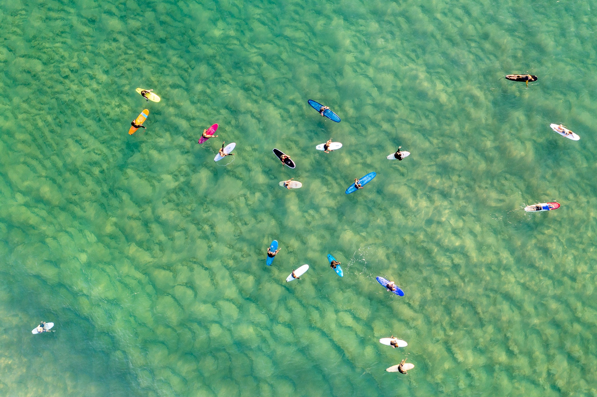 Drone aerial view of small surfers in turquoise water at Bondi fine art print