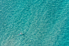 Solo swimmer Bondi Beach aerial wall art print