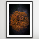 Drone aerial view of London Leaves fine art wall art photography print