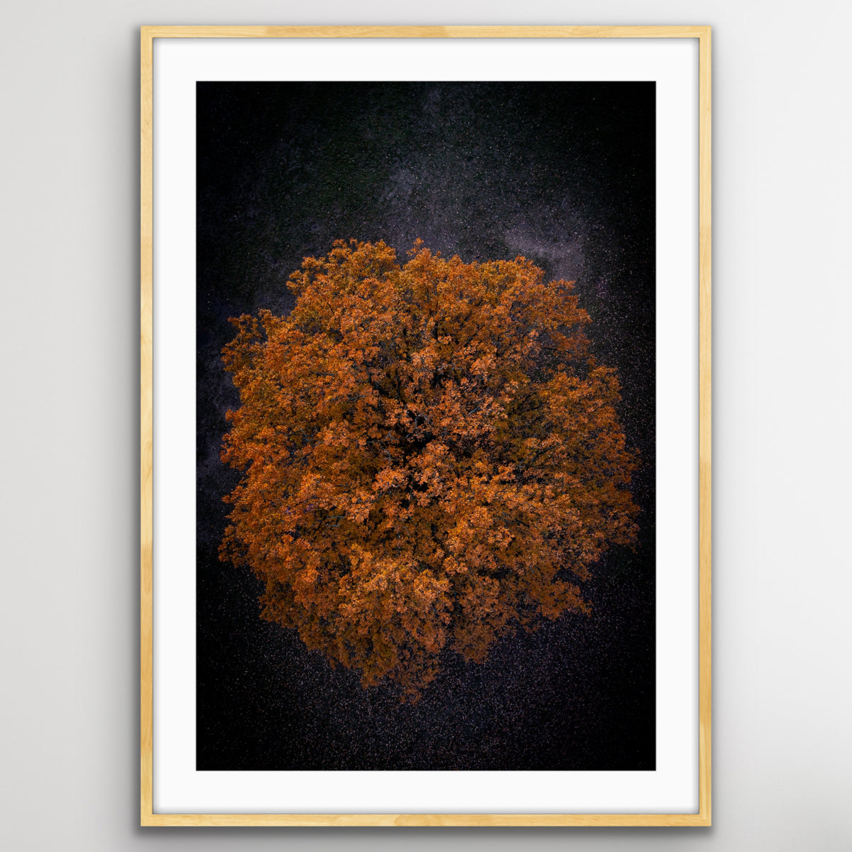 London England aerial landscape photo print with trees and city patterns