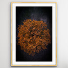 London England aerial landscape photo print with trees and city patterns