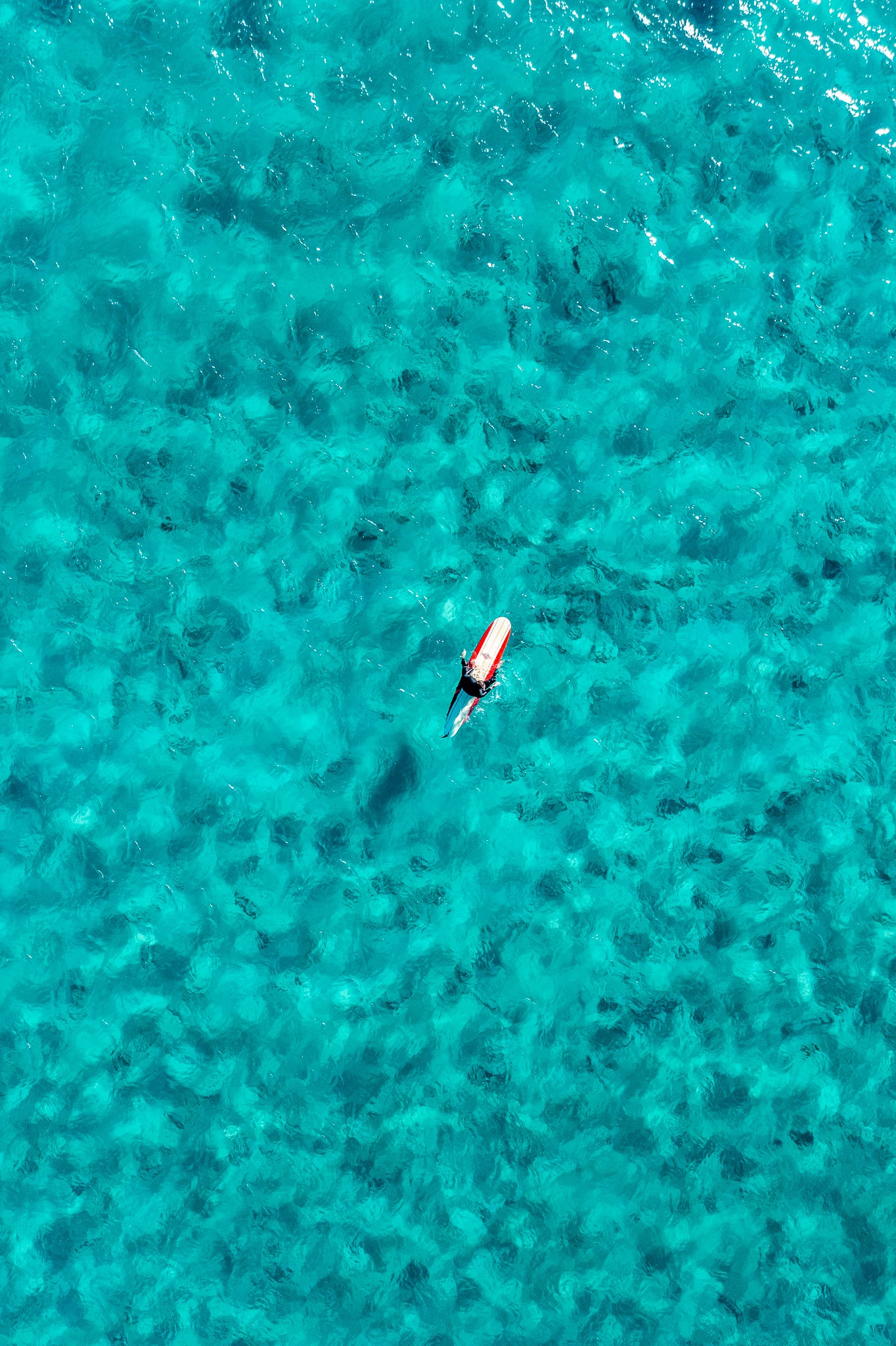 Solo Surfer Manly aerial wall art print Sydney”