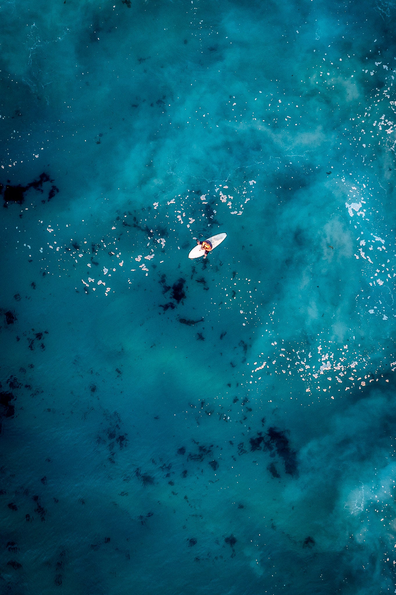 Manly Surfer aerial wall art print Sydney