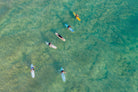Manly Surfers Board Meeting wall art print featuring surfers in Manly Beach lineup