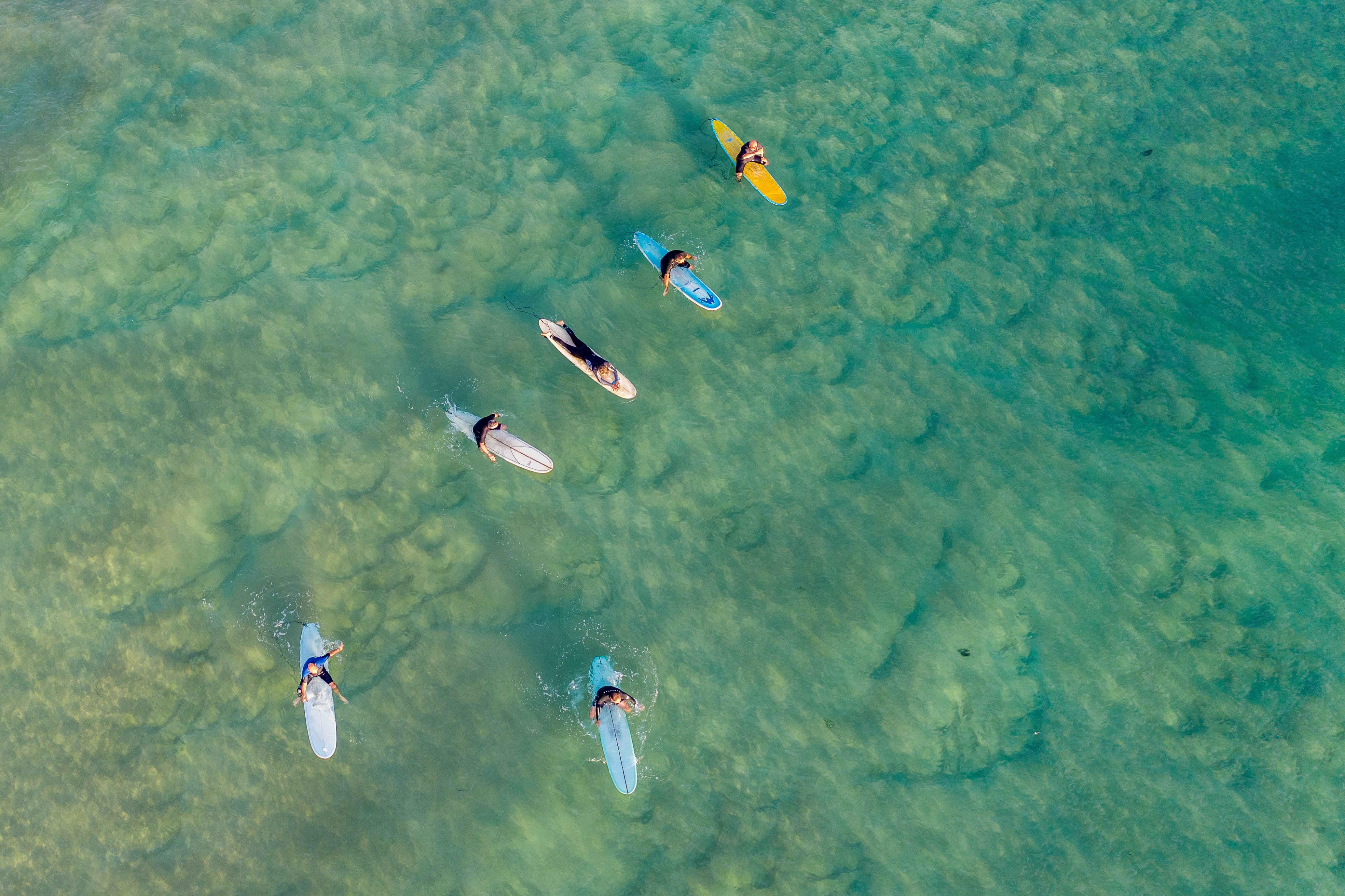 Manly Surfers Board Meeting wall art print featuring surfers in Manly Beach lineup